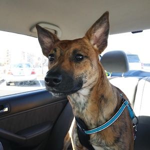 Meet your Posher, Christina